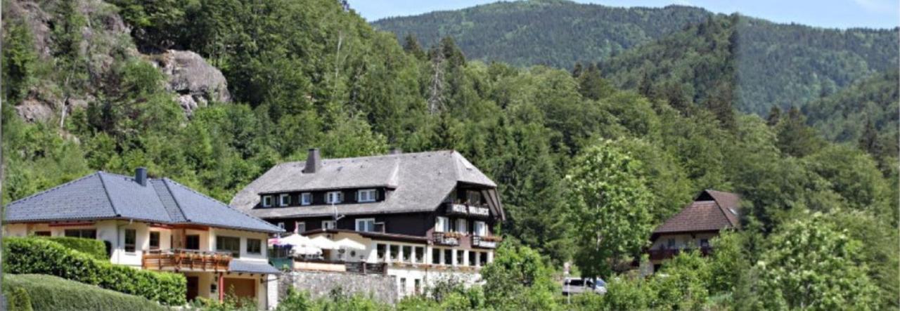 Hotel Waldeck In Todtnau Bagian luar foto
