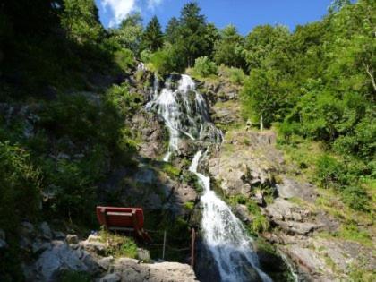 Hotel Waldeck In Todtnau Bagian luar foto