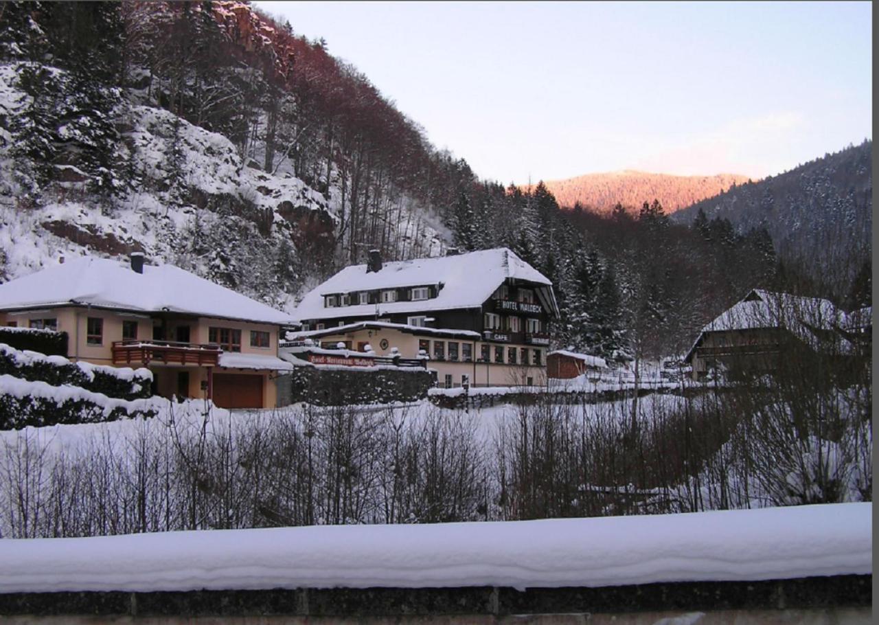 Hotel Waldeck In Todtnau Bagian luar foto